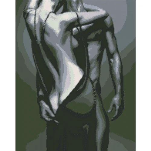 Алмазная вышивка Идейка Passion 40x50см (АМ 6133)