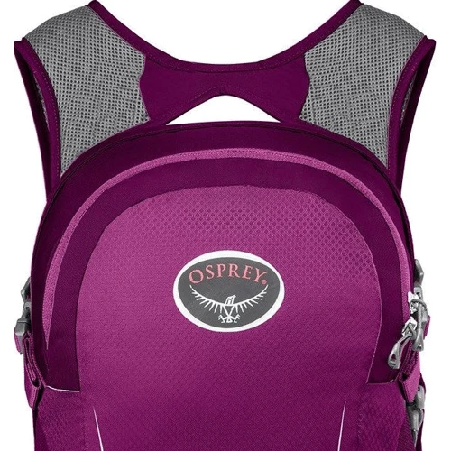 Рюкзак Рюкзак Osprey Daylite 13 Honeybee Yellow / Deep Sea Blue O / S синій (009.2214): Вага 0.45 кг