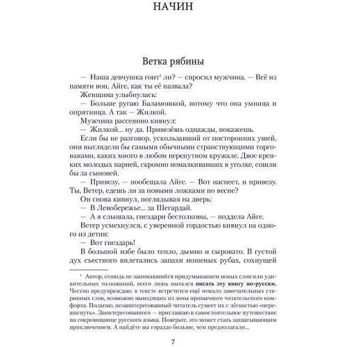 Братья. Книга 1. Тайный воин: Количество страниц 608