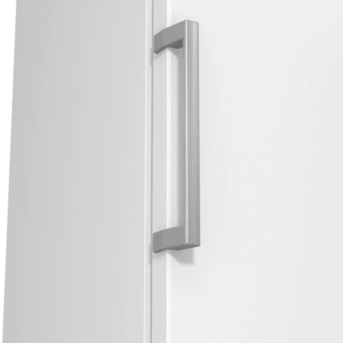 Морозильная камера Gorenje FN619EEW5/UA