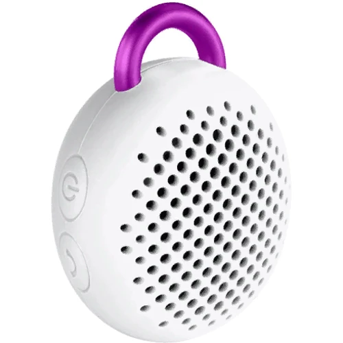 Акустика Divoom Bluetune Bean White: Тип портативная