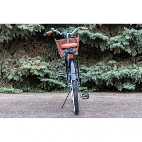 Електровелосипед VEGA Family S (Black): Діаметр коліс, дюймів 26