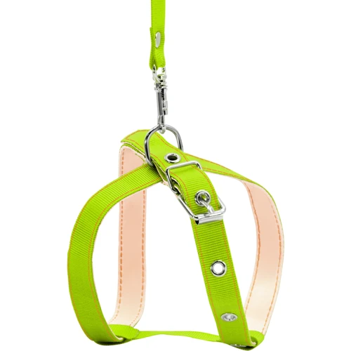 Шлея з повідцем Collar капронова для котів 14 мм 125 см зелена (05445): Виробник Collar