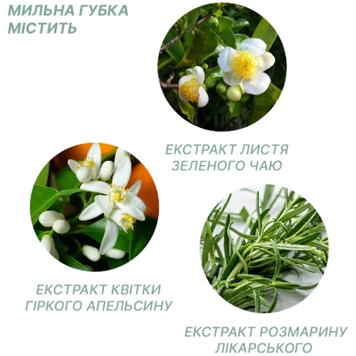 Одноразовий Сухий Душ Estem Classic (4820270570029) фото 3