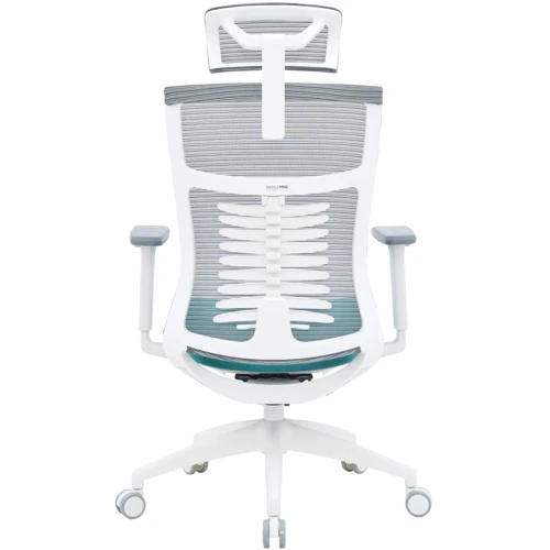 Офісне крісло OfficePro Balance (OC550-W-DG-BL): Матеріал корпусу пластик, метал