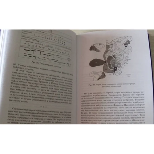 Себастьян Сеунг: Коннектом. Как мозг делает нас тем, что мы есть: ISBN 978-5-00101-092-0