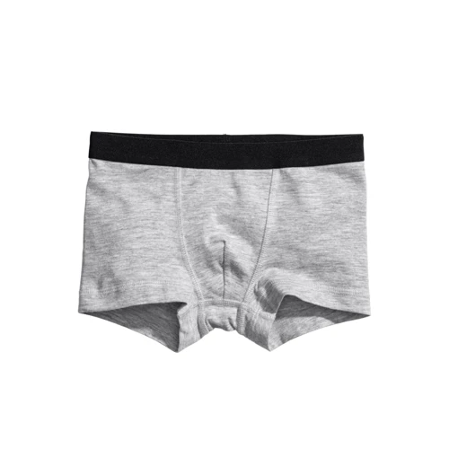 Трусы H&M 6586018 98-104 см светло-серые