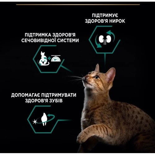 Сухий корм Pro Plan Sterilised Renal для стерилізованих кішок з індичкою 400г (7613033564673): Порода всі породи