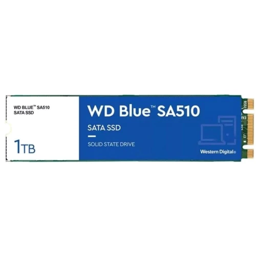 WD Blue SA510 M.2 1 TB (WDS100T3B0B)