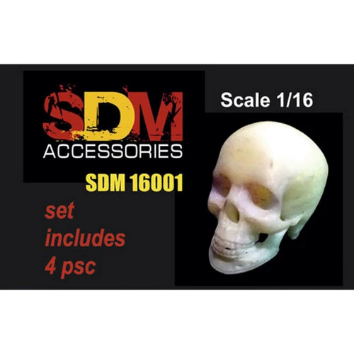 Набор DAN models Череп человека (DAN-SDM16001)