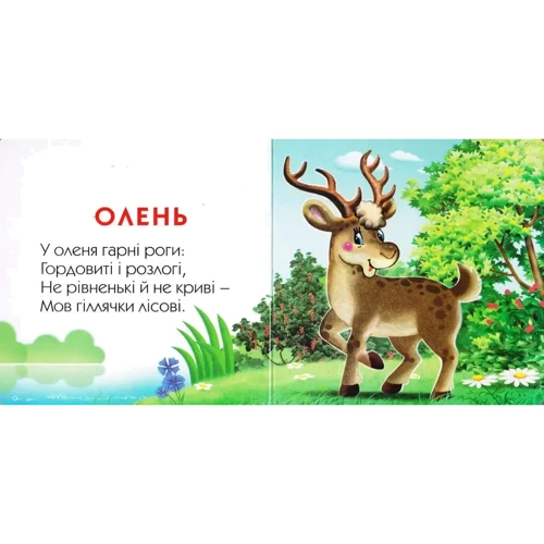 Ганна Чубач: Книжка-картонка. Рогаті та пазураті: Обложка Картон