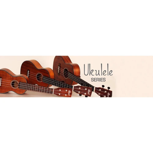 Укулеле CORT UKE-BWC CONCERT (OP) w / bag: Тип кріплення грифа Вклеєний