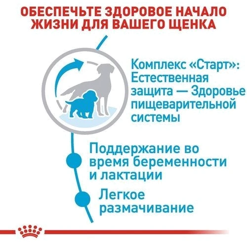 Сухой корм для собак в период беременности Royal Canin Medium Starter и щенков средних пород 1 кг (2993010): Свойства Основное питание, Забота о развитии плода