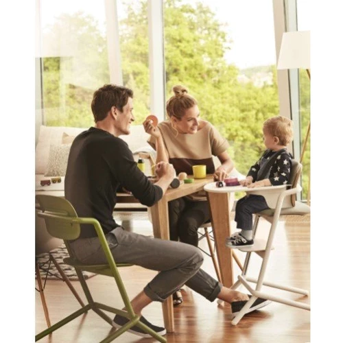 Мягкий вкладыш для стульчика Cybex Lemo Chair (518002380): Тип классический стульчик