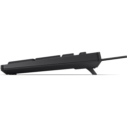 Клавиатура HP 125 Wired Keyboard (266C9AA): Тип клавиатуры стандартная