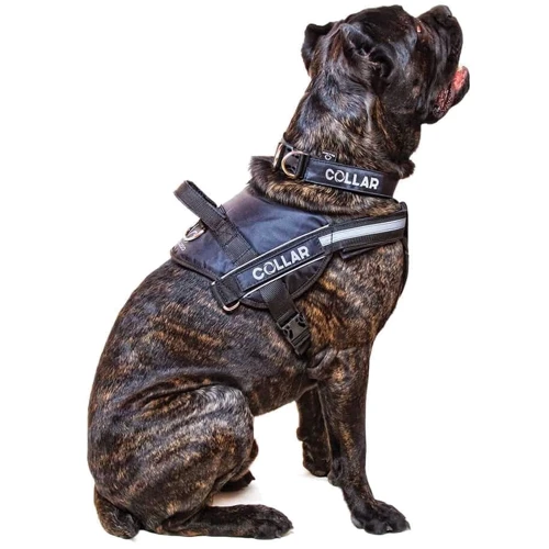 Шлея Dog Extremе "POLICE" №3 (60-75 см) черный (07061): Производитель DOG Extremе