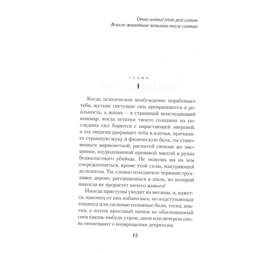 Эльга Мира: Скорлупа (2-е издание): Количество страниц 400