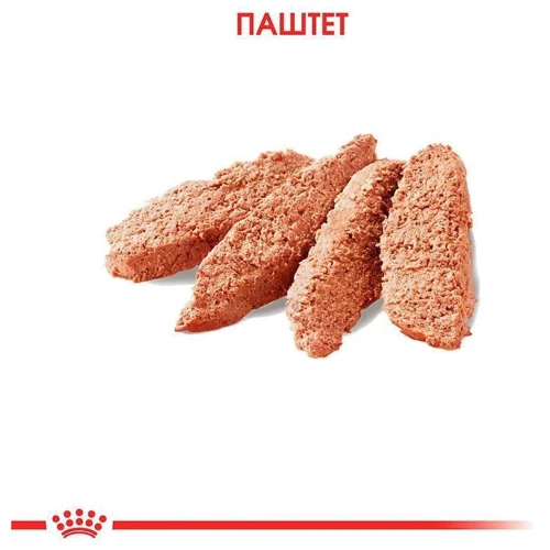 Влажный корм Royal Canin Exigent Loaf Adult с курицей для взрослых собак всех размеров, привередливых к питанию 85 г (1185001): Тип Влажный корм