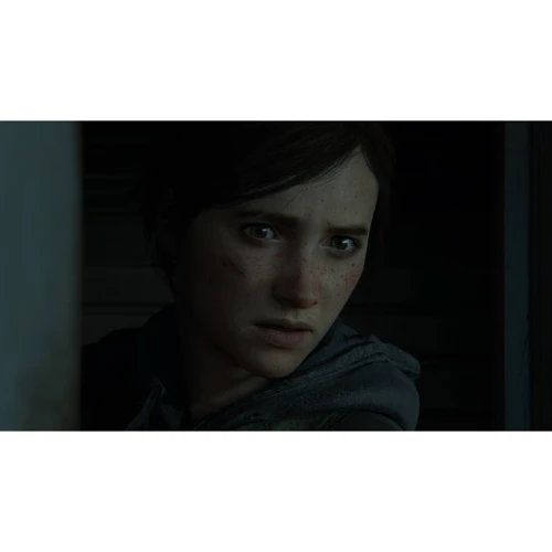 The Last of Us: Part II (PS4): Серия приставки PlayStation 4