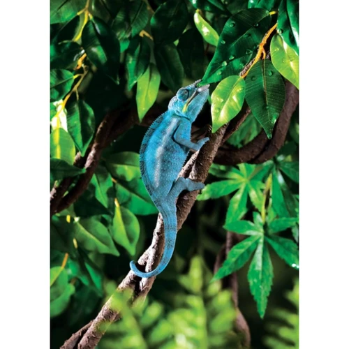 Растение Hagen Jungle Vine Small (015561230858) фото 1