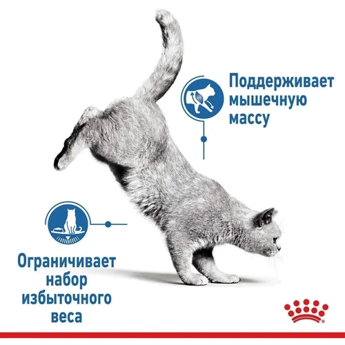Влажный корм для котов Royal Canin Light Weight Care в желе 85 г (4152001): Класс Супер премиум