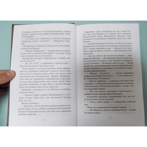 Эрин Хантер: Коты-воители. Обещание Метеора. Книга 2. Прозрение: Количество страниц 352