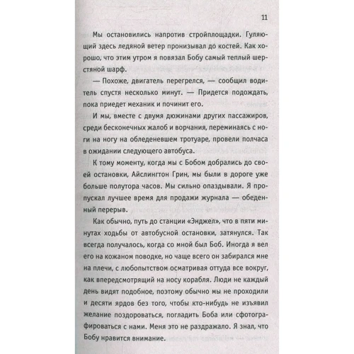 Джеймс Боуэн: Кот Боб. Во имя любви: Количество страниц 208