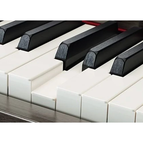Цифровое пианино YAMAHA Clavinova CSP170WH: Тип Интерьерные