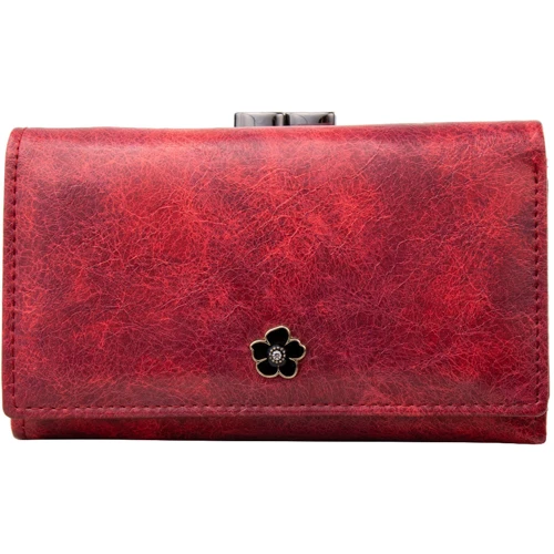 Женский кошелек 4U Cavaldi красный (DNKPX23-2-JZ-red): Формат кошелька Горизонтальный