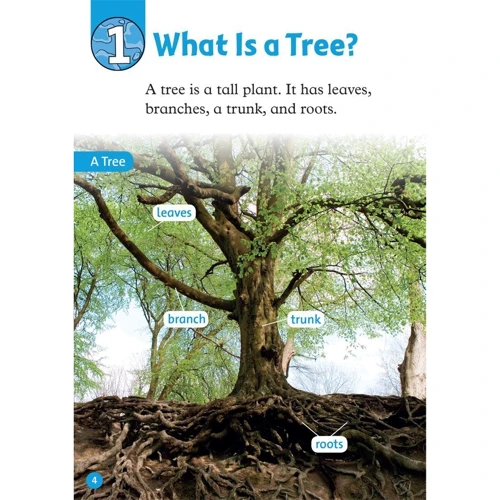 Oxford Read and Discover 1: Trees: Обложка Мягкая