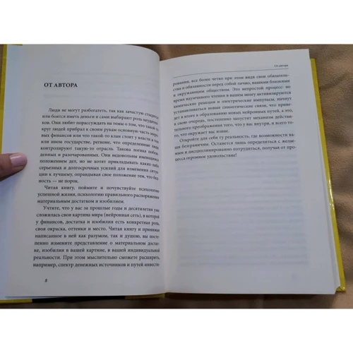Шамиль Аляутдинов: Финансы триллионера: Количество страниц 496