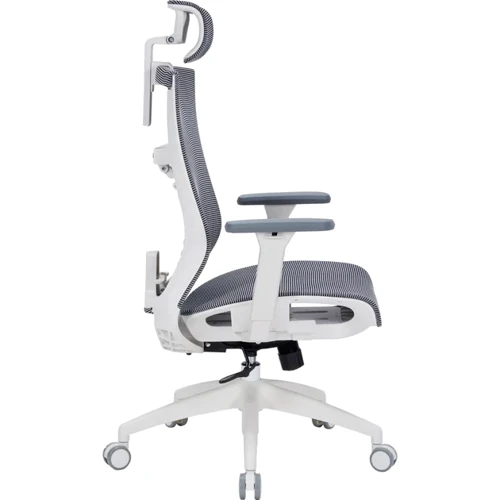 Офісне крісло OfficePro Balance OC620-W-DG-DG: Матеріал корпусу пластик, метал