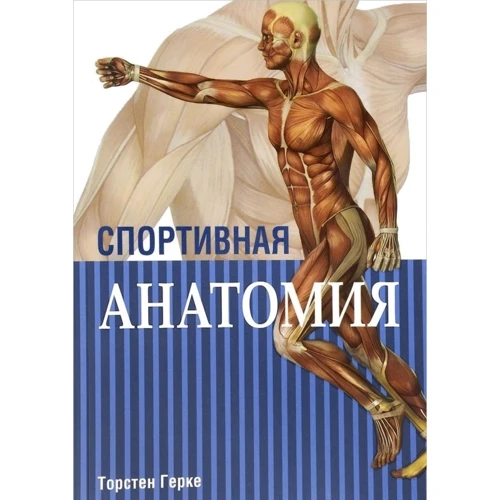 Спортивная анатомия