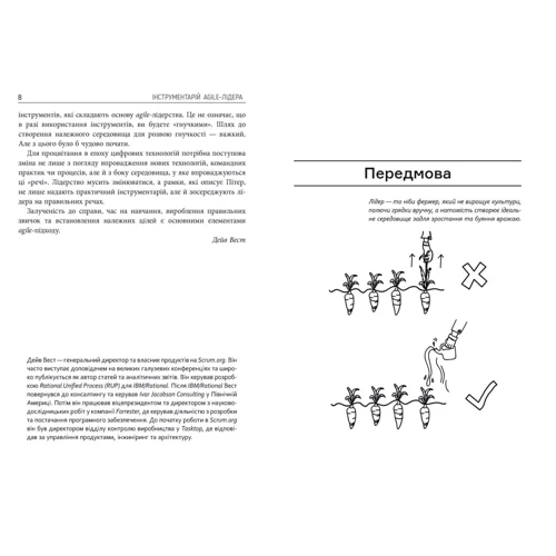 Пітер Конінг: Інструментарій Аgile-лідера: ISBN 978-617-522-090-0