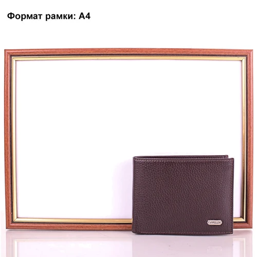 Чоловіче портмоне Canpellini коричневе (SHI1043-10FL): Тип Портмоне