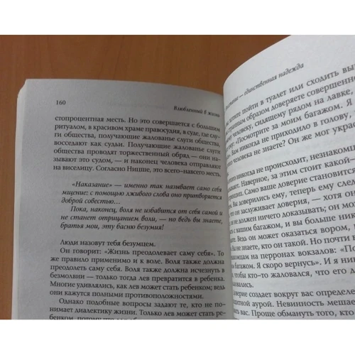 Закоханий в життя: роздуми про "Заратустре" Фрідріха Ніцше: Обкладинка М'яка