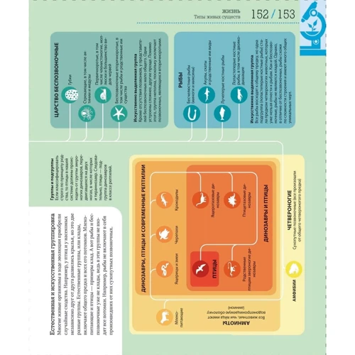 Как работает наука. Наглядные факты об устройстве нашего мира