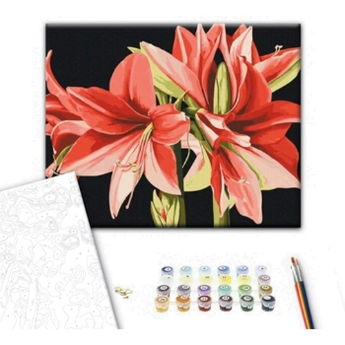 Картина по номерам Brushme Амарилис © Anastasiia Osmolovska 40х50 см (BS53725)
