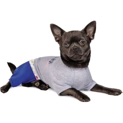 Костюм для собак Pet Fashion Орион XS серый (4823082416820): Тип Костюмы