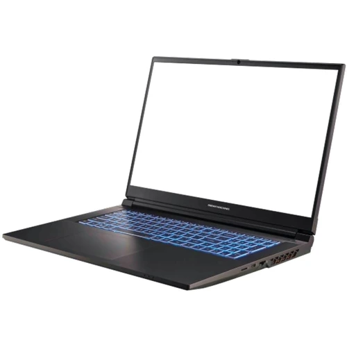 Ноутбук Dream Machines RG4050-17 (RG4050-17UA31) UA: Экран 17.3" WVA (1920x1080) Full HD
