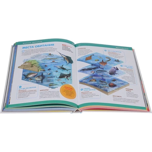 Большая детская энциклопедия про все на свете: ISBN 978-5-9567-2135-3