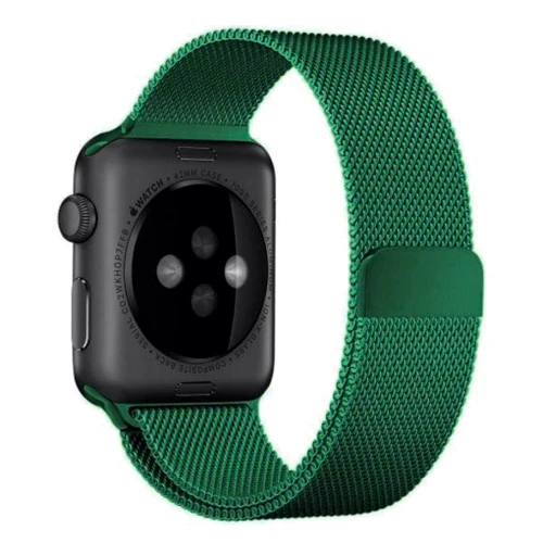 Аксесуар для Watch COTEetCI W6 Magnet Band Green (WH5203-GR) for Apple Watch 42 / 44mm