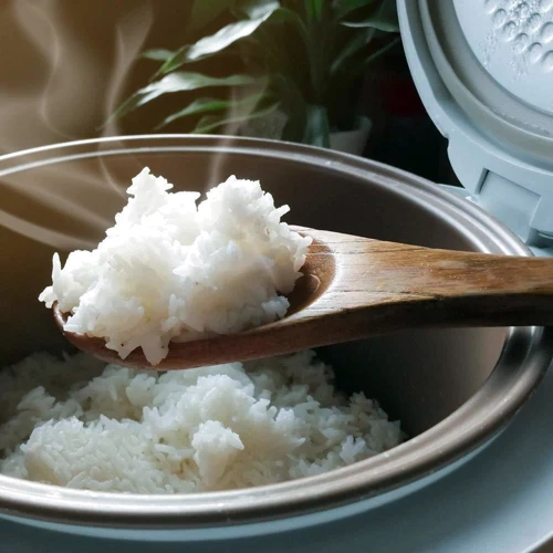 Рисоварка Gastroback 42507