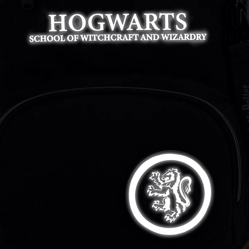 Рюкзак Kite HP25-773M Education 773 Harry Potter фото 18