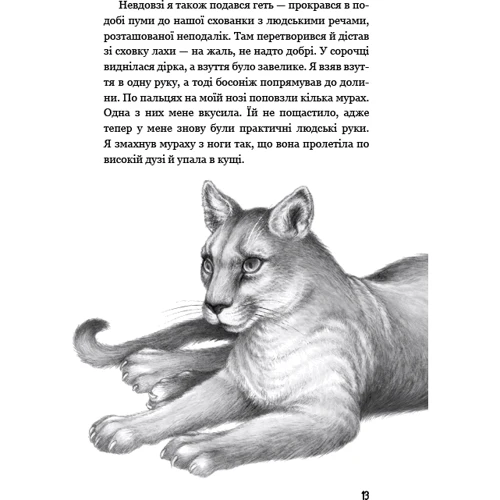 Катя Брандіс: Діти лісу. Книга 3. Таємниця Голлі: Обкладинка Тверда