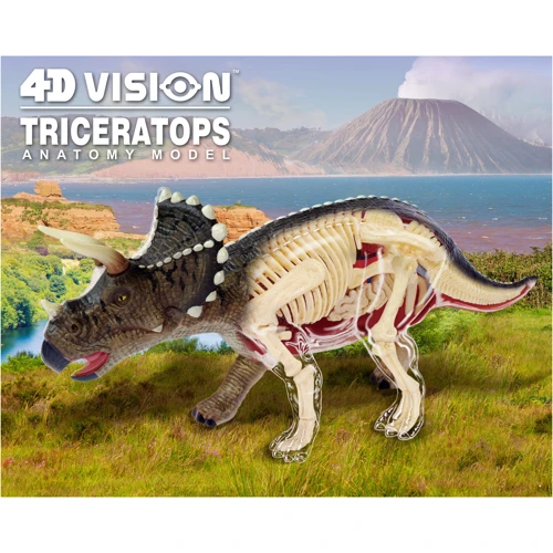 Объемная анатомическая модель 4D Master Трицератопс (FM-622014) фото 9