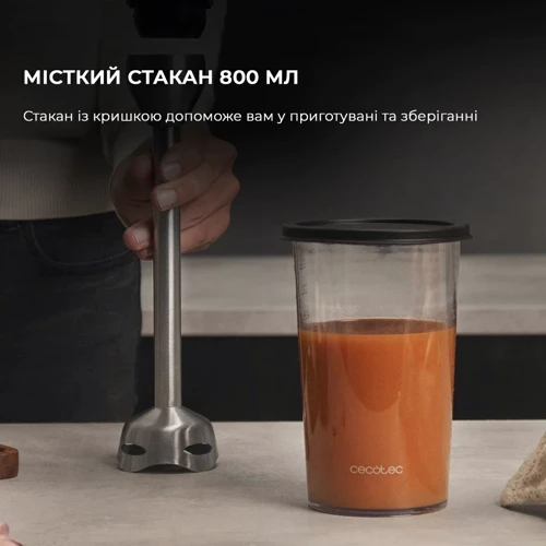 Блендер CECOTEC Power TitanBlack 1200 XL PerfectCream&Crush (CCTC-04293): Тип погружной