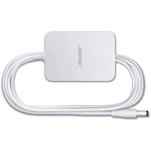 Акустика Bose Home Speaker 300, Luxe Silver (808429-2300): Питание От сети
