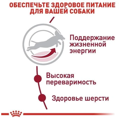 Сухой корм для собак Royal Canin Medium Adult 7+ средних пород старше 7 лет 4 кг (3005040): Порода Средние