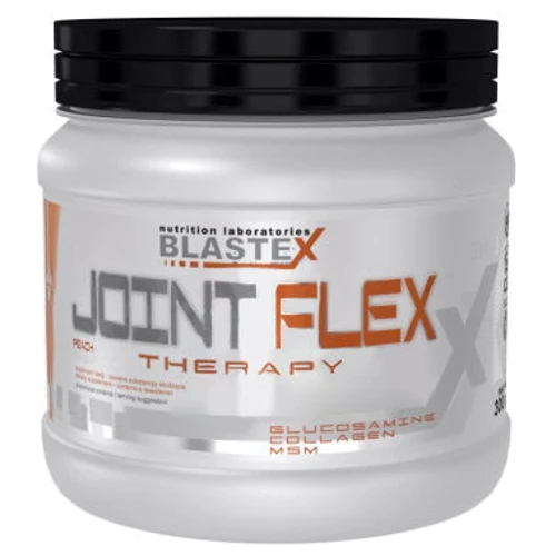 Blastex Xline Joint Flex Therapy Підтримка суглобів зі смаком лісових ягід 300 г